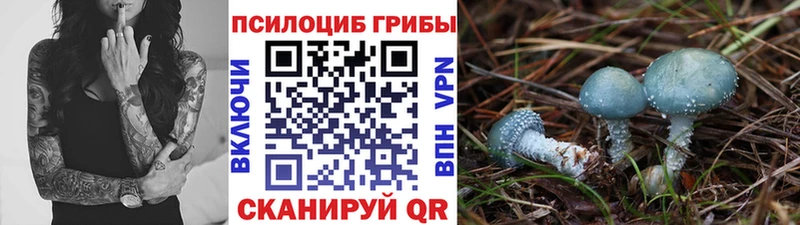 Галлюциногенные грибы Cubensis  Алзамай 